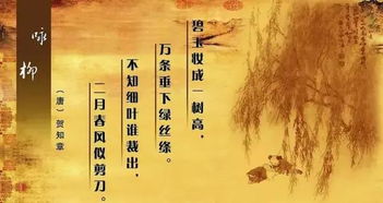 詠柳古詩(shī)用比喻的詩(shī)句