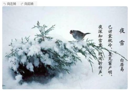 初三上古詩(shī)句