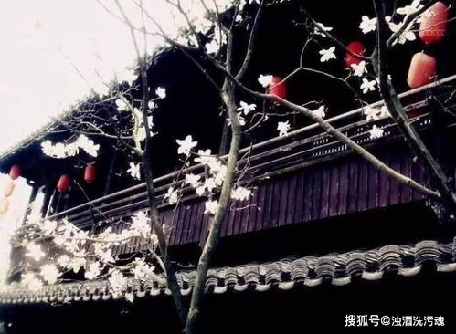 很美,詩(shī)句,夜景