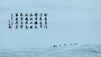 動(dòng)靜相應成趣的古詩(shī)句