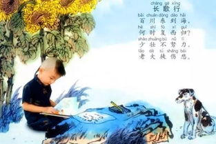 詩(shī)句,古詩(shī)文