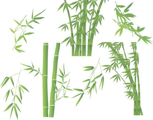 贊美竹子高貴品質(zhì)的古詩(shī)句