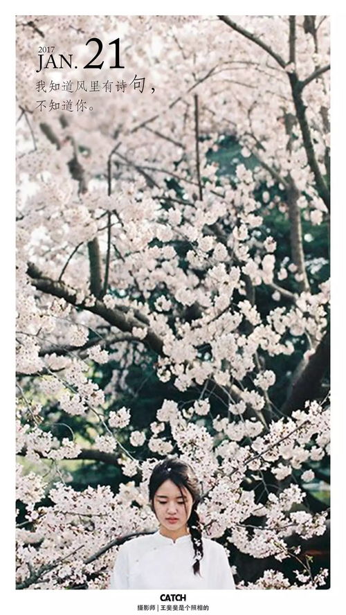 關(guān)于日與風(fēng)的詩(shī)句是什么