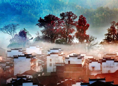 思鄉之句的詩(shī)句,描寫(xiě)思鄉的詩(shī)句,思鄉之情的詩(shī)句