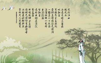 自己的,詩(shī)句,反思