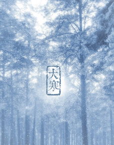 大寒,詩(shī)句