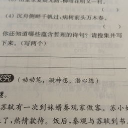 詩(shī)中含有哲理的詩(shī)句,富含哲理的詩(shī)句摘抄,蘊含哲理的詩(shī)句摘抄