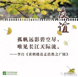 關(guān)于友誼和發(fā)展的詩(shī)句