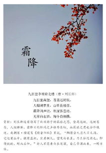 霜降,古詩(shī),詩(shī)句,寒冷