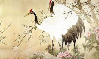 關(guān)于保護鳥(niǎo)的詩(shī)句古詩(shī)