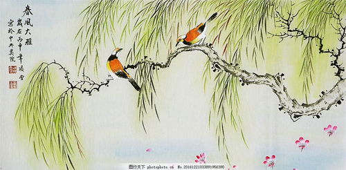 柳樹(shù)和鳥(niǎo)的春天的古詩(shī)句