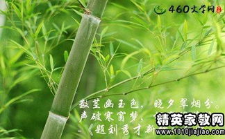 關(guān)于竹子品質(zhì)詩(shī)句