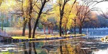 關(guān)于初冬的詩(shī)句詞牌名