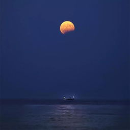 關(guān)于愛(ài)良夜的詩(shī)句