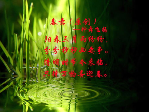 描寫(xiě)春天風(fēng)景的詩(shī)句古詩(shī)大全