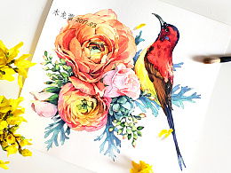 春天關(guān)于鳥(niǎo)花的詩(shī)句古詩(shī)大全
