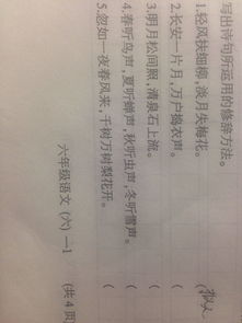 運(yùn)用修辭手法的古詩句