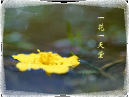 關(guān)于如若心清塵事遠的詩(shī)句
