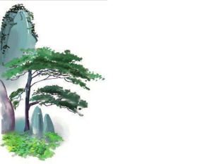 贊美松樹(shù)古詩(shī)100詩(shī)句