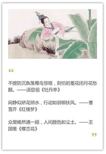 贊揚美人的古詩(shī)句