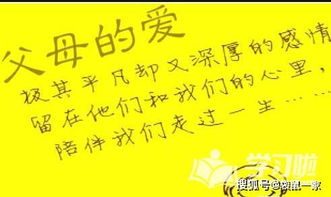 父愛(ài)或母愛(ài)偉大的古詩(shī)句