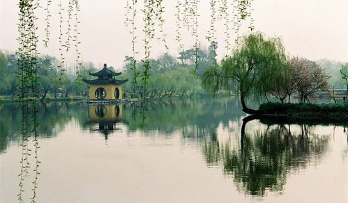 蘇軾關(guān)于美景的詩(shī)句有哪些
