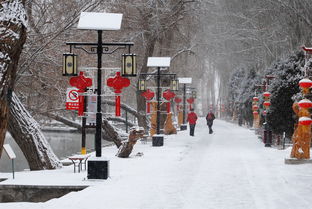 關(guān)于古鎮的雪景的詩(shī)句