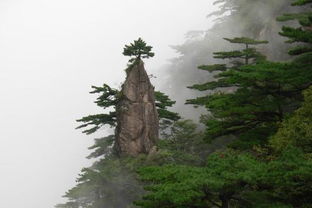 黃山,詩(shī)句,最有名