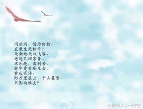 關(guān)于愛(ài)情的詩(shī)句唯美,關(guān)于愛(ài)情的詩(shī)句現代詩(shī),關(guān)于愛(ài)情遺憾的詩(shī)句