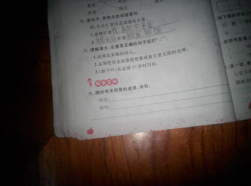 關(guān)于父母之愛(ài)的詞語(yǔ)和詩(shī)句