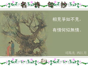 關(guān)于知己的警句和詩(shī)句