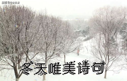 有關(guān)于冬天的古詩(shī)詩(shī)句