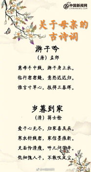 贊偉大母親的詩(shī)句,歌贊母親的詩(shī)句,贊沒(méi)母親的詩(shī)句
