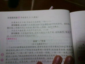 詩(shī)句,老人
