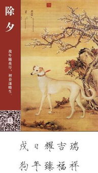 古詩(shī),詩(shī)句