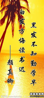 關(guān)于讀書(shū)有關(guān)的名言警句或詩(shī)句,關(guān)于讀書(shū)的名言警句詩(shī)句故事,寫(xiě)讀書(shū)的名言警句,詩(shī)句