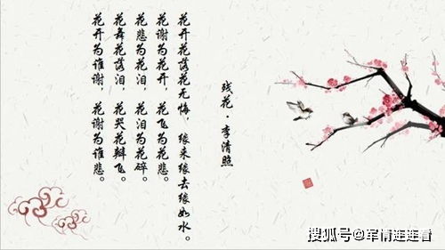 含有顏色的詩(shī)句古詩(shī),含有春的詩(shī)句古詩(shī),含有比喻的詩(shī)句古詩(shī)