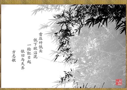 古詩(shī)竹的詩(shī)句