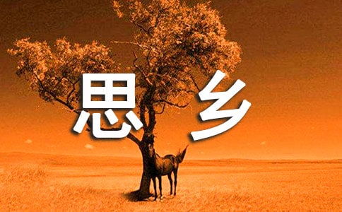 關(guān)于月和鄉愁的詩(shī)句