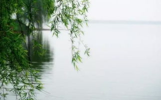 柳暗花明的古詩(shī)句