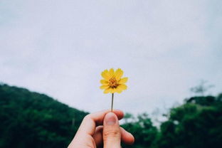 同路前行的古詩(shī)句