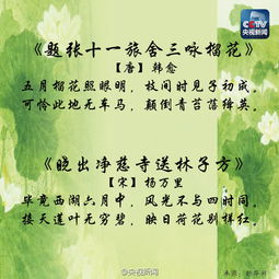 古詩(shī),詩(shī)句,中含有