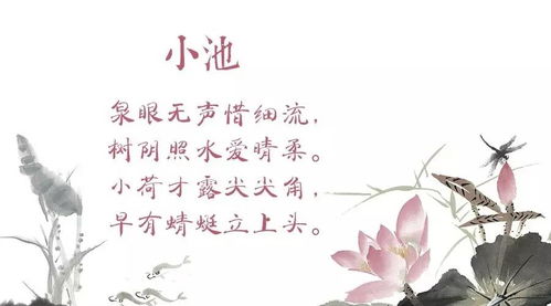 關(guān)于水的詩(shī)句小池