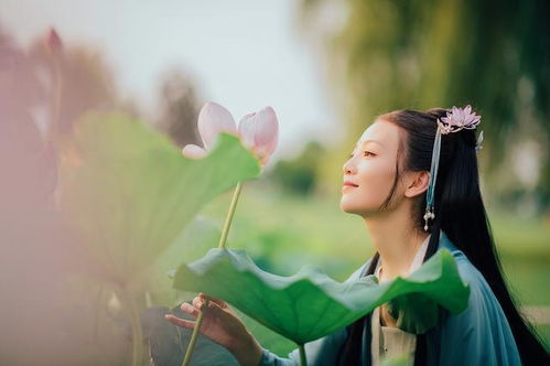 古詩(shī)采蓮曲的詩(shī)句意思