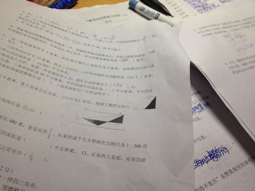 關(guān)于真知的古詩(shī)句
