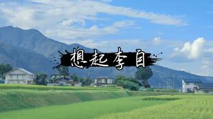 關(guān)于桑的詩(shī)句古詩(shī)