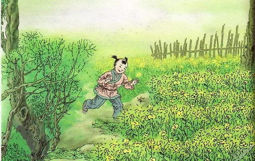 詩(shī)句,無(wú)憂(yōu)無(wú)慮