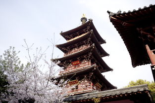 關(guān)于描寫(xiě)寒山寺的詩(shī)句