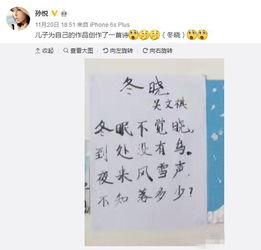 關(guān)于贊美孩子寫(xiě)字認(rèn)真的詩(shī)句