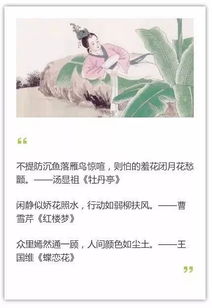 形容美貌的古詩(shī)句